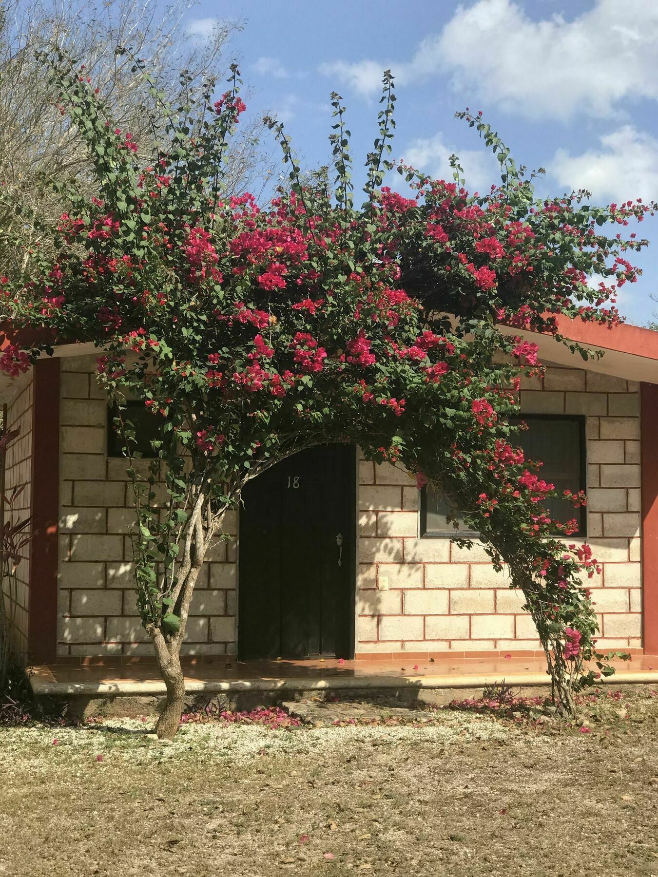 Cenotes Cabanas Suytun Valladolid  Exterior foto